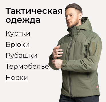Одежда