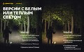 Мультифонарь Armytek Wizard C2 Magnet USB (теплый свет) F08901W - фото 17332 Мультифонарь Armytek Wizard C2 Magnet USB (теплый свет) F08901W - фото 17332